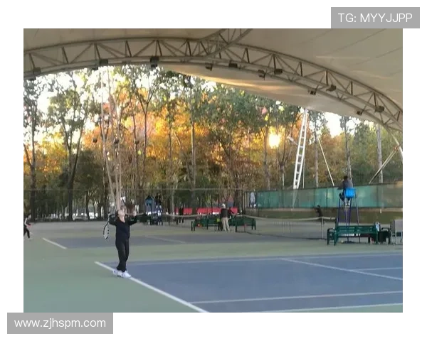 西安排球队在冠军赛中的技术表现分析与点评